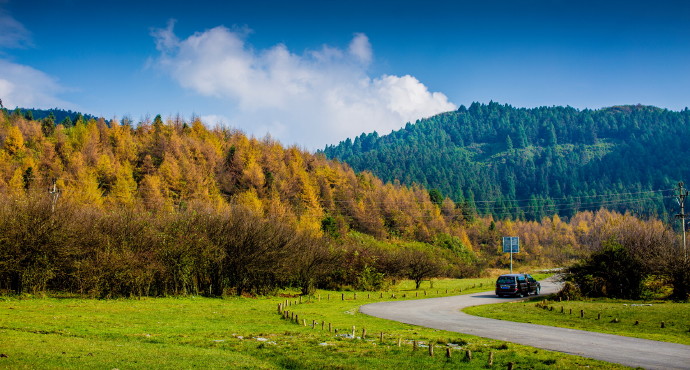 武隆·仙女山国家森林公园